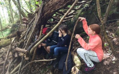 Year 4 Residential