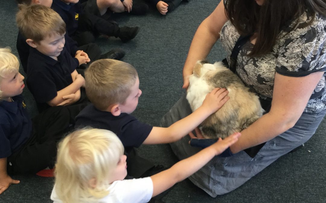 Rabbits move in to Reception!